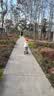 舒客宝贝儿童牙膏按压150g大容量含氟防蛀2-12岁葡萄味包装随机1瓶装 实拍图