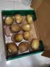 佳沛（zespri）新西兰金奇异果10粒巨大果146-175g猕猴桃中秋节礼品送水果礼盒 实拍图