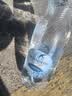 圣碧涛（SAN BENEDETTO）意大利进口气泡水 1.5L*6瓶 矿泉水 整箱装 实拍图