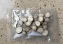 川珍白芷50g【配料干净】四川原产烧炖卤料羊肉煲汤材料香辛调味佐料 实拍图