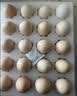 京鲜生 无抗保洁鲜鸡蛋30枚/盒 健康轻食 礼盒送礼 1.5kg/盒 源头直发 实拍图