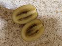 佳沛（zespri）新西兰金奇异果12粒特大果124-146g猕猴桃中秋节礼品送水果礼盒 实拍图