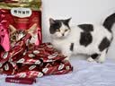 弗列加特猫粮 磷虾油美毛 全价鲜肉天然粮 幼猫粮乳鸽味2kg 实拍图