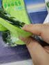 启拓者军训三件套必备用品全套男女生专用鞋垫腰带防暑高中初中大学生 实拍图