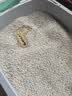 洁客猫砂膨润土除臭京东自营送货上门高效结团猫砂8kg*1箱 实拍图