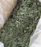 海芝宝荣成海带 双有机海带嫩丝1.5kg箱装 凉拌煲汤火锅 源头直发 实拍图