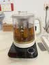 小熊（Bear）纯钛养生壶煮茶壶煮茶器 炖煮一体多功能家用恒温煮水壶 1.8升大容量 YSH-E18K1 实拍图