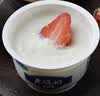 君乐宝 老酸奶 原味 139g*12碗 酸奶酸牛奶 实拍图