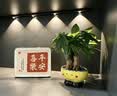 雷士（NVC）波纹猫眼感应灯带自粘橱柜灯磁吸入户玄关充电LED氛围灯黑色80cm 实拍图