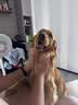 格力（GREE）【花精灵Se】一级能效直流变频轻音节能遥控电风扇卧室落地扇大风量静音家用风扇 实拍图