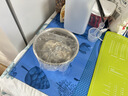 小熊（Bear）新款花样面食机压面机面条机 揉面和面厨师机面光光小型家用全自动电动宝宝辅食饸烙饺子YMJ-F01L8 实拍图