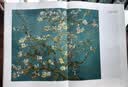 梵高手稿（典藏修订版） 实拍图