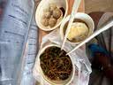 特美居（temeiju）玉米淀粉饭盒一次性餐盒食品级打包盒带盖可微波750型方形*8套 实拍图
