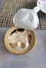 多特思猫罐头招财金饭碗68g猫主食罐头奶糕成幼猫全价湿粮餐盒猫饭 实拍图