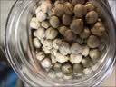 新边界 土耳其无油干炒鹰嘴豆400g 坚果炒货香酥烤熟豆即食小零食豆子 实拍图