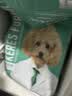 凯锐思中小型犬狗粮 成犬鲜肉肠胃宠物通用泰迪比熊小狗粮 【助益免疫】营养牛肉4斤 实拍图