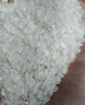 金龙鱼乳玉皇妃 新季稻谷 方正长粒香 东北大米 长粒香稻米10斤 实拍图