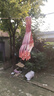 衣架成人加粗防滑加厚学生宿舍无痕挂衣架家用衣服晾衣架撑子衣挂 40cm升级款 凹槽带钩（四季款） 10支装（颜色随机） 实拍图
