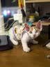 麦德氏IN四合一配方羊奶粉300g宠物羊奶粉狗狗猫咪幼犬幼猫 实拍图