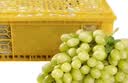 【整箱】新疆无籽露葡萄2kg 实拍图