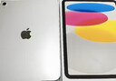 Apple/苹果 iPad 11英寸 A16芯片2025年款 平板电脑 (256GB WLAN版/学习办公娱乐)蓝色 实拍图