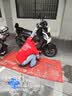 固满德山道巡礼电动摩托车轮胎半热熔真空胎90/90-12免费上门安装 实拍图