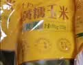 十月稻田 黄糯6cm玉米段 8段 共1.6斤 东北杂粮粗粮 低脂早餐 火锅食材 实拍图