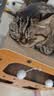 【京东快递】猫抓板猫窝一体式耐磨耐抓逗猫神器 45猫别墅【三层豪华款】 实拍图