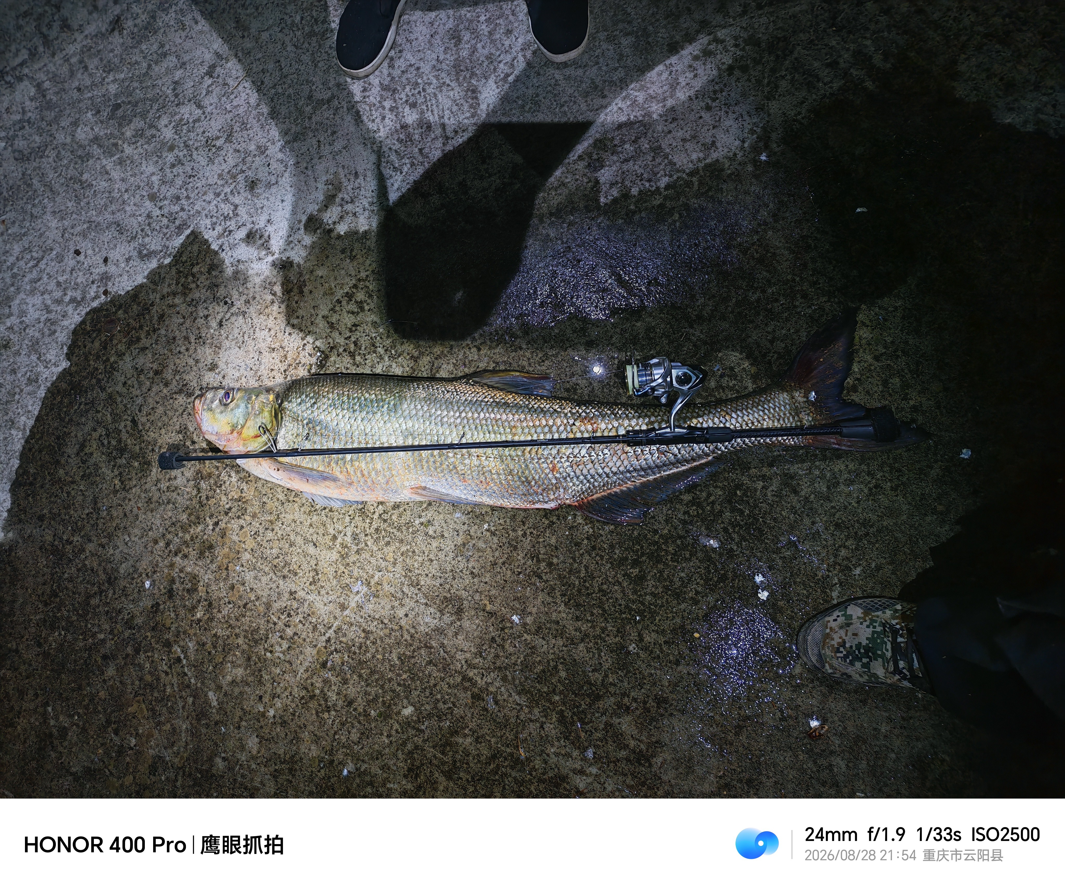 SHIMANO禧玛诺赛多纳旗舰纺车轮23款SEDONA微物浅杯路亚远投鱼轮 23款2500HG（高速比:6.2） 实拍图