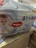 好奇（Huggies）金装小黑洞拉拉裤XXXXL52(19kg以上)尿不湿【速干不易红】 实拍图