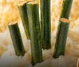 小鹿蓝蓝 高钙DHA鳕鱼松海苔卷鳕鱼味 宝宝儿童零食鲜脆海苔卷210g 实拍图