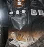 甘源牌酱汁烧黑鸭酱香味52g花生仁下酒脱皮花生米坚果炒货休闲零食小吃 实拍图