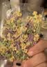 爷爷的农场有机婴幼儿海洋造型意大利面200g 宝宝婴儿面条儿童早餐1岁-2岁 实拍图