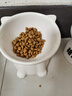 冠能猫粮 成猫猫粮鸡肉味10kg 全价猫粮 稳固免疫【宠物金选】 实拍图
