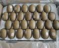 佳沛（zespri）新西兰金奇异果15粒巨大果146-175g猕猴桃中秋节礼品送水果礼盒 实拍图
