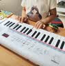 雅马哈（YAMAHA）PSS-E30 电子琴多功能初学者音感小白琴生日儿童节礼物标配+琴包 实拍图