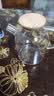 四季茶壶烧水壶高硼硅玻璃电凉水壶大容量升级加厚 四季茶壶1.8L 实拍图