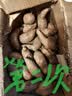 现挖沙地蜜薯红薯新鲜农家糖心番薯烤地瓜软糯批发黄心包邮 沙地蜜薯5斤装 中小果含箱 实拍图