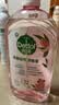 滴露（Dettol）滴露自然香氛消毒液1L+香氛消毒喷雾月下山茶380ml 实拍图