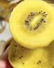 佳沛（zespri）新西兰金奇异果22粒巨大原箱146-175g猕猴桃中秋节礼品送水果礼盒 实拍图