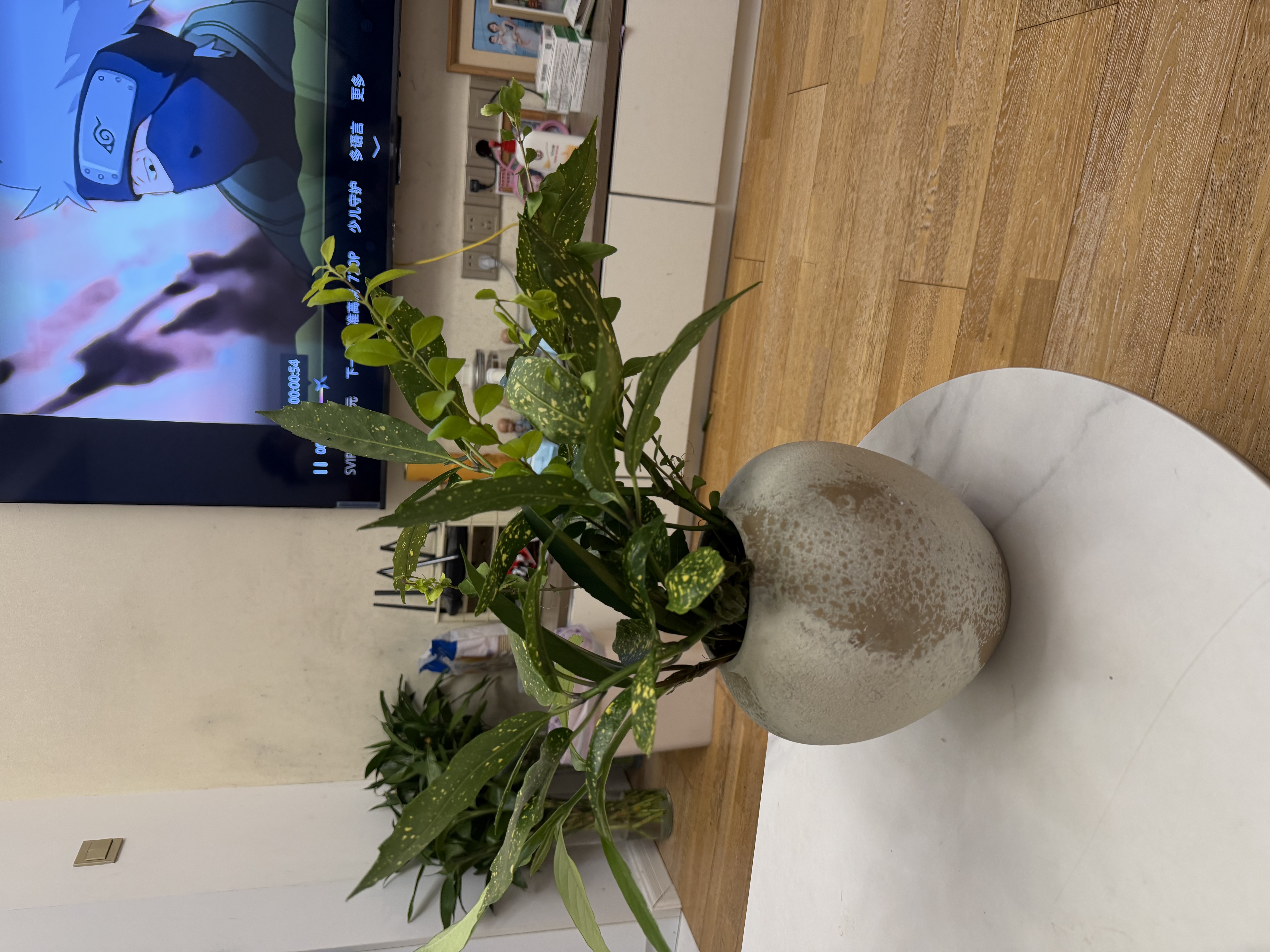 匠花语陶瓷艺术花瓶大号插花水养水培容器景德镇侘寂风民宿酒店装饰摆件 实拍图