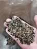 王小家英散装荞麦壳 散装荞麦皮 甜荞麦枕头枕芯填充物苦荞麦高温水洗熟壳 实拍图