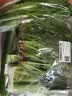 【24小时菜】菠菜苗250g(长度≤20cm) 实拍图