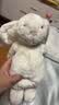 Jellycat害羞乳白色邦尼兔动物毛绒玩偶安抚玩偶娃娃送礼生日礼物 害羞乳白色邦尼兔 Medium 实拍图