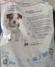 皇家狗粮 幼犬狗粮 宠物 小型犬 MIJ31 全价犬粮 2-10月 2KG 实拍图