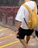 迪卡侬男女户外旅行徒步背包登山包NH100书包学生儿童小书包10升4773405 实拍图