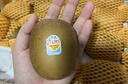 佳沛（zespri）新西兰 阳光金奇异果30-33粒原箱单果103-124g 猕猴桃水果礼盒 实拍图