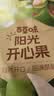 百草味开心果盐焗味100g 每日坚果干果休闲零食特产新老包装随机发 实拍图