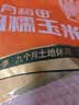 十月稻田 白糯玉米 8根 4.16斤 真空包装 东北甜粘玉米棒 低脂早餐 实拍图