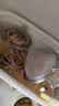 浦利顿（PLODON）婴儿辅食工具4件套 不锈钢漏勺过滤勺+压泥器+蛋清分离器+打蛋器 实拍图